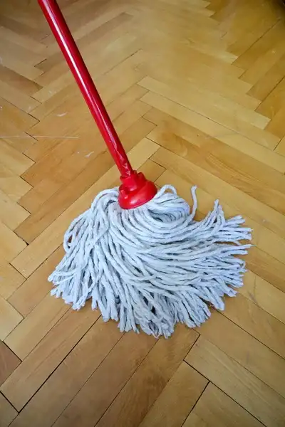 mopping cleaning